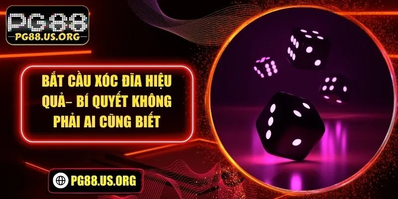 bắt cầu xóc đĩa